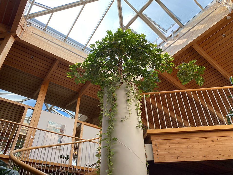 bauen-wie-wir-office-2